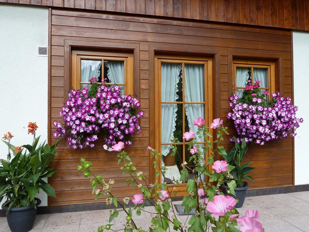 Haus Silvia Apartment Werfenweng Exterior foto